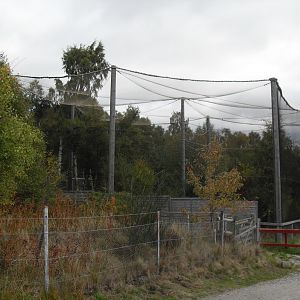 European crane aviary