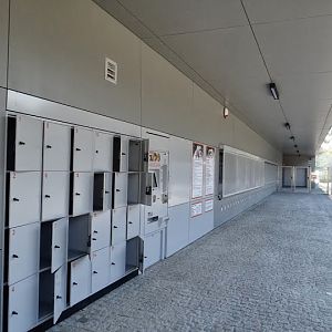 New zone of the entry