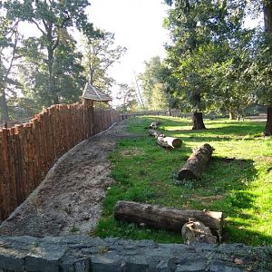 Fragment of the new paddock Okapia johnstoni