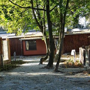 New pavilion for Okapia johnstoni