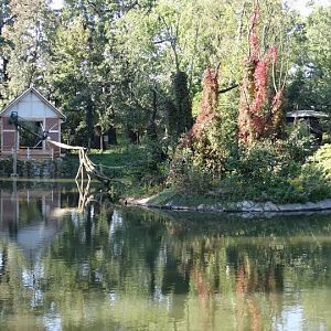 The pavilion and the island Saimiri