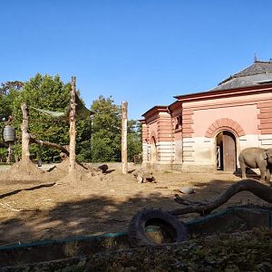 The pavilion and the paddock of Elephas maximus