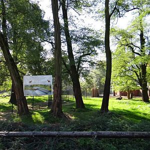 New paddocks for Okapia johnstoni