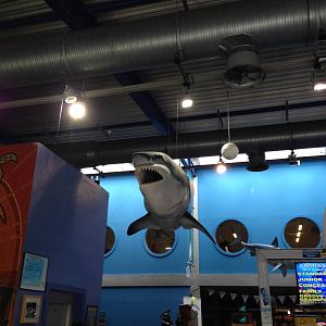 Entrance Area at Blue Planet Aquarium - 05/10/2013