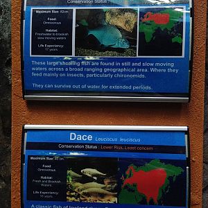 Signage Example at Blue Planet Aquarium - 05/10/2013