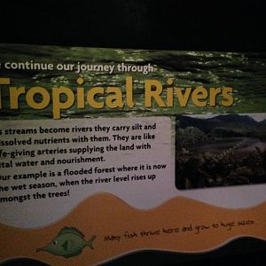 Tropical Rivers Signage at Blue Planet Aquarium - 05/10/2013