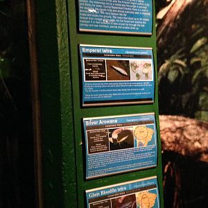 Flooded Forest Signage at Blue Planet Aquarium - 05/10/2013