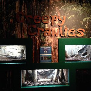 Creepy Crawlies at Blue Planet Aquarium - 05/10/2013