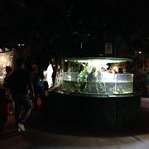 General View of Tropical Rivers at Blue Planet Aquarium - 05/10/2013