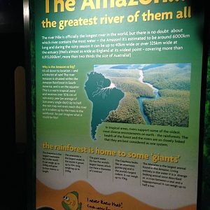 Amazon Signage at Blue Planet Aquarium - 05/10/2013