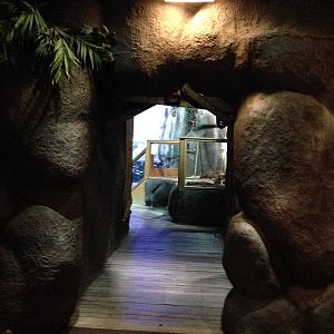 Tropical Rivers at Blue Planet Aquarium - 05/10/2013