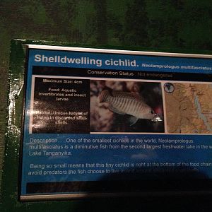 Signage Example at Blue Planet Aquarium - 05/10/2013