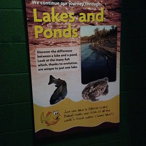 Lakes and Ponds Information Sign at Blue Planet Aquarium - 05/10/2013