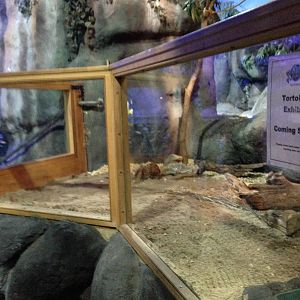 New Tortoise Exhibit at Blue Planet Aquarium - 05/10/2013