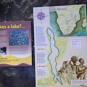Lake Malawi Information Sign at Blue Planet Aquarium - 05/10/2013