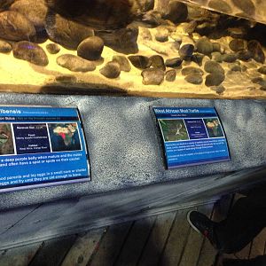 Signage at Blue Planet Aquarium - 05/10/2013