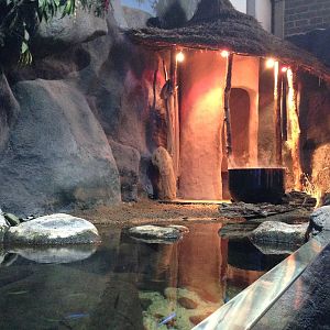 African Cichlid Tank at Blue Planet Aquarium - 05/10/2013