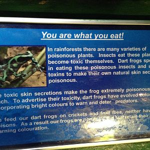 You Are What You Eat Signage at Blue Planet Aquarium - 05/10/20