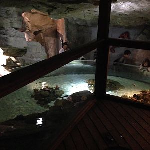General View of Coral Cave at Blue Planet Aquarium - 05/10/2013