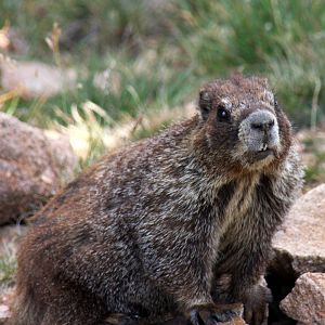 2011: Continental Divide- Berthoud Pass