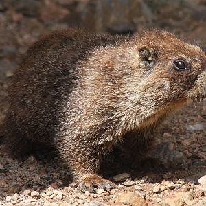2011: Continental Divide- Berthoud Pass