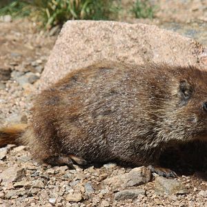2011: Continental Divide- Berthoud Pass