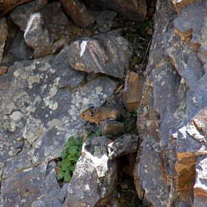 2011: Continental Divide- Berthoud Pass