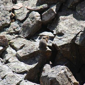 2011: Continental Divide- Berthoud Pass