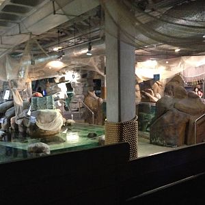 General View of the Rock Pool Section at Blue Planet Aquarium - 05/10/2013