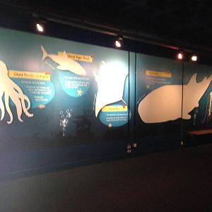 Signage at Blue Planet Aquarium - 05/10/2013