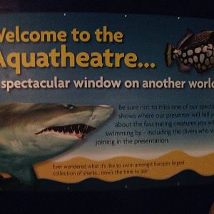 Aquatheatre Signage at Blue Planet Aquarium - 05/10/2013