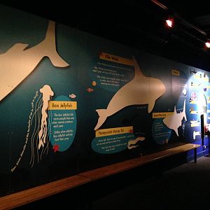 Aquatheatre Signage at Blue Planet Aquarium - 05/10/2013