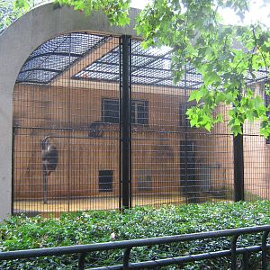 cage for Tibetan macaques (Macaca thibetanus)