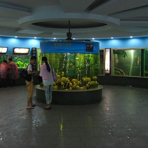 Aquarium