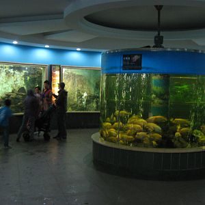Aquarium