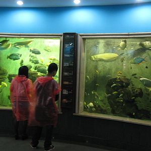 Aquarium