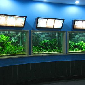 Aquarium
