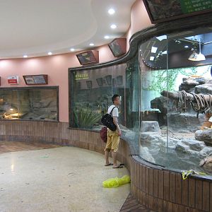 Reptile House
