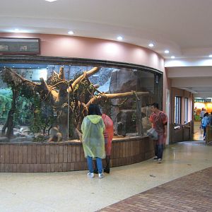Reptile House