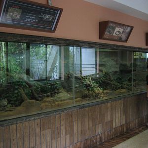 Reptile House