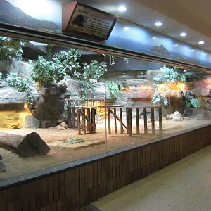 Reptile House