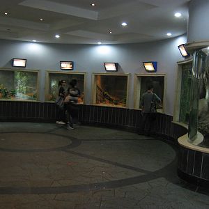 Reptile House