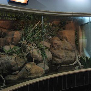 Reptile House