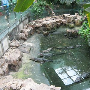 Reptile House