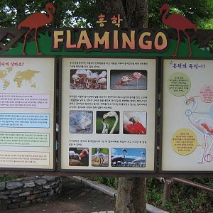 flamingo signage