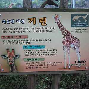 giraffe signage