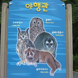 sign outside the Nocturnal House