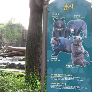 bear signage