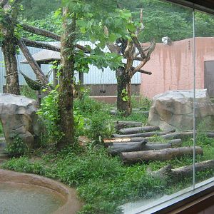enclosure for Malayan sun bear