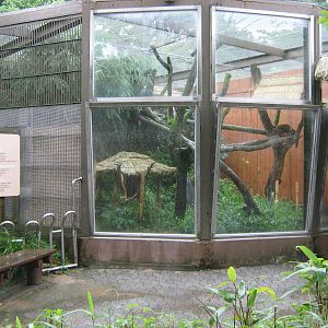 enclosure for red panda
